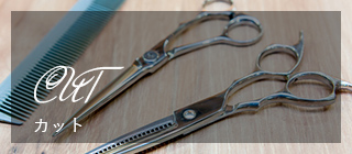 カット